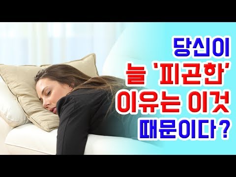  눈피로 꼭 이것만? - 하루에 하나씩 정보