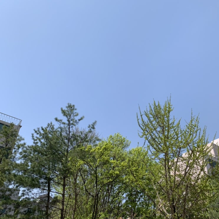  April, 2019