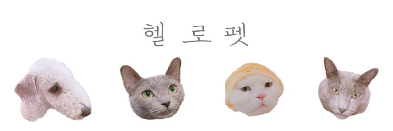 사진 3