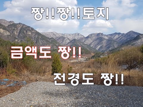  평창부동산 내실있게 [오늘의 정보]