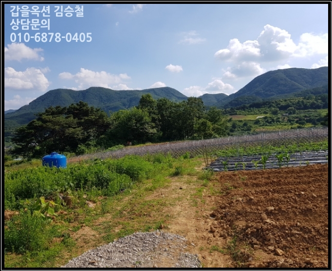 [토지(전)경매 낙찰비법] 2018타경 1321ш충북 단양군 적성면 상리 64-3   경매 수익성분석