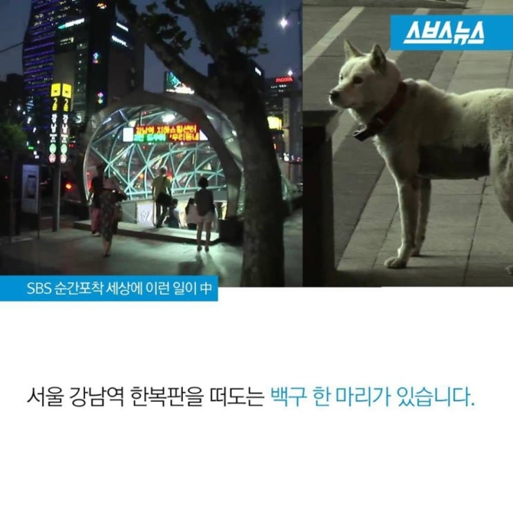 연극쟁이의 이중성 연극쟁이의 이중성