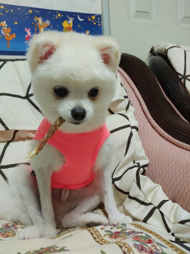  할머니댁에서 뽀송~~