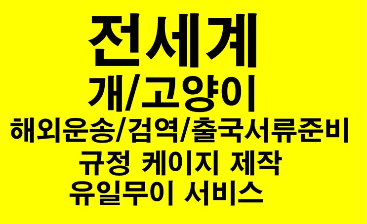  강아지검역 강아지출국 강아지해외 출국서류 미국강아지출국하기 강아지검역증명서 [출국서비스]