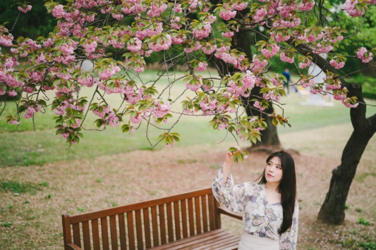  2019.04 요니일상