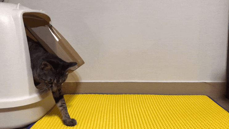 [PETHROOM] 고양이 화장실 사막화 방지매트! 클린 업 매트 리뷰
