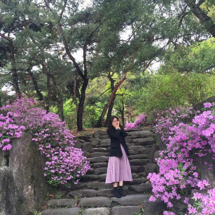  <20190426 일상> 비 온 뒤 한옥마을 산책
