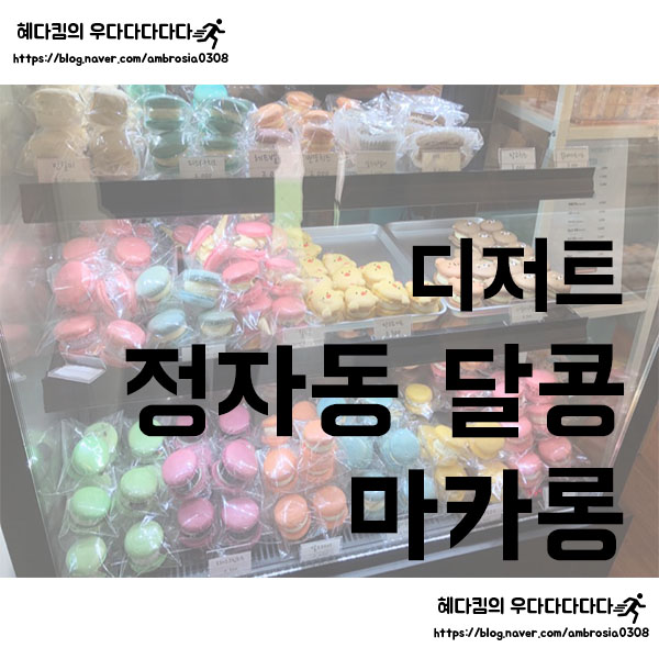  [디저트]달콩/달콩마카롱/정자동마카롱/마카롱맛집/마카롱리뷰/분당마카롱