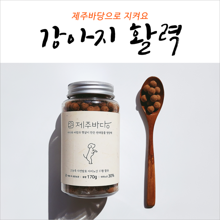  강아지활력 이거 하나로 든든하게 지켜요
