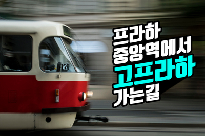  고프라하 프라하중앙역에서 오시는 길, 프라하한인민박