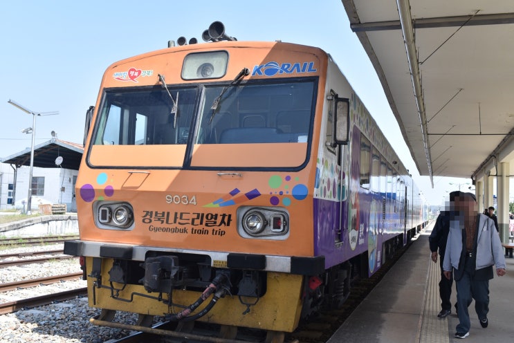  상주 가볼만한곳 경북나드리열차타고 GOGO~~!!!