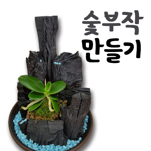 [진로직업체험] 원예치료사 체험, 숯부작을 이용한 원예체험