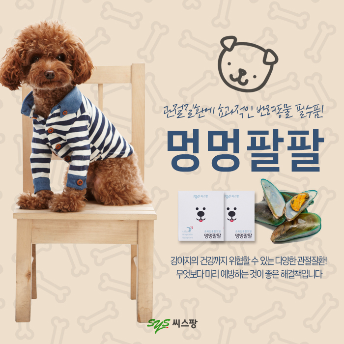  강아지관절영양제 멍멍팔팔 초록입홍합오일로 관리하세요