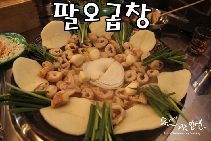  [군자역 맛집] 군자 곱창 맛나는 팔오곱창