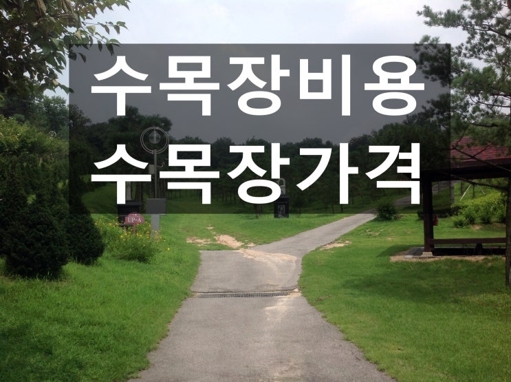  수목장비용 저렴한곳은 어디인가요?