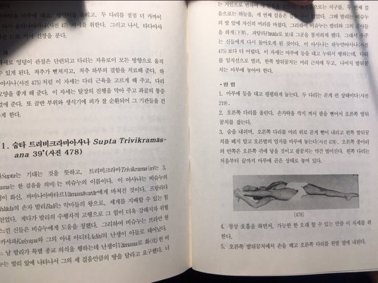  오전수련. 비라사나의 날. 190429.