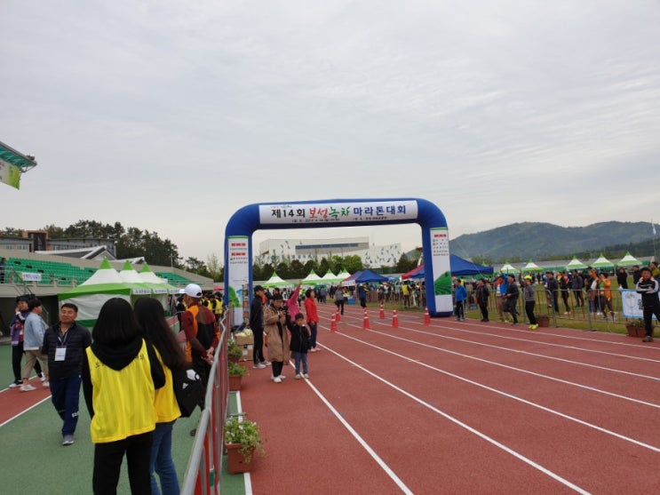  2019 보성녹차마라톤대회(2)