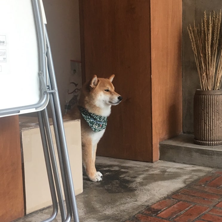  카페 견과류