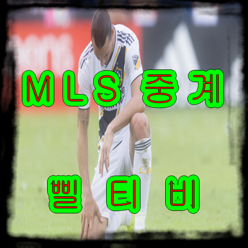  MLS 중계도 역시 좋은 지리는 곳이 있을까