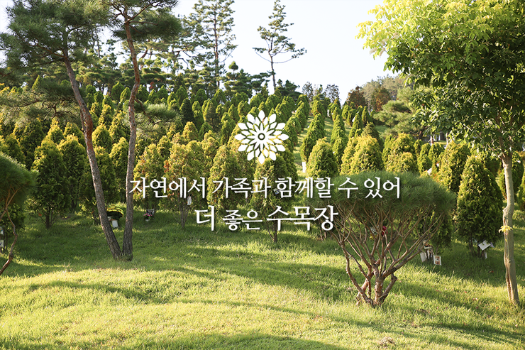  수목장비용 정확히 알아보려면?