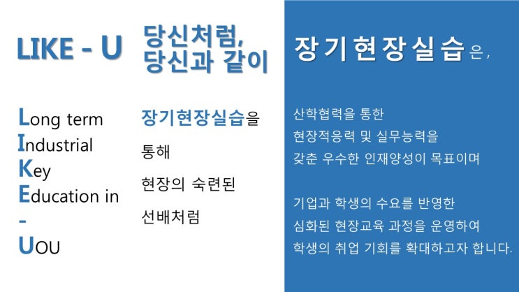  2019-1학기 울산대학교 LIKE-U 장기현장실습