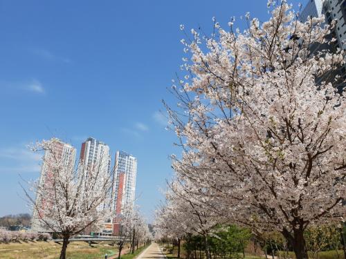  삼송 이편한세상시티 3차  57타입 전면동 매매