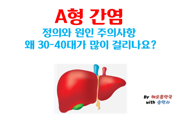  A형 간염 정의와 원인 주의사항 왜 30-40대가 많이 걸리나요?