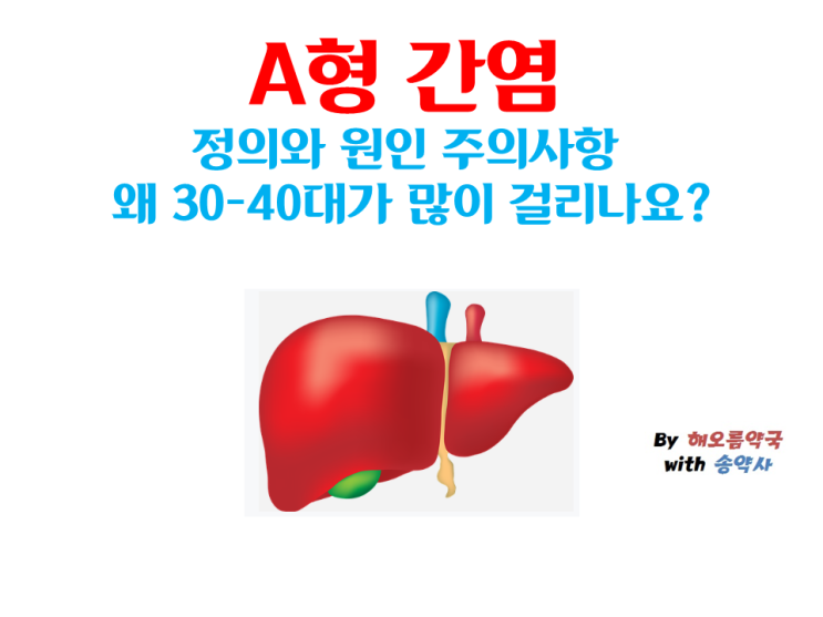 A형 간염 정의와 원인 주의사항 왜 30-40대가 많이 걸리나요?