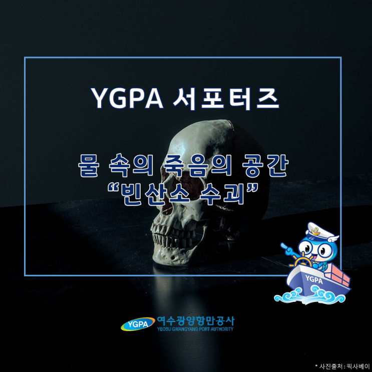  [YGPA 서포터즈] 물 속에 존재하는 죽음의 공간 “빈산소 수괴”
