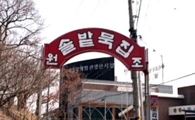  생생정보! 연매출 21억원 도토리묵사발 "솔밭묵집"