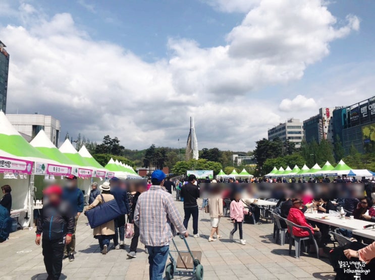  일산 2019 고양 국제 꽃박람회 & 음식축제 구경했어요