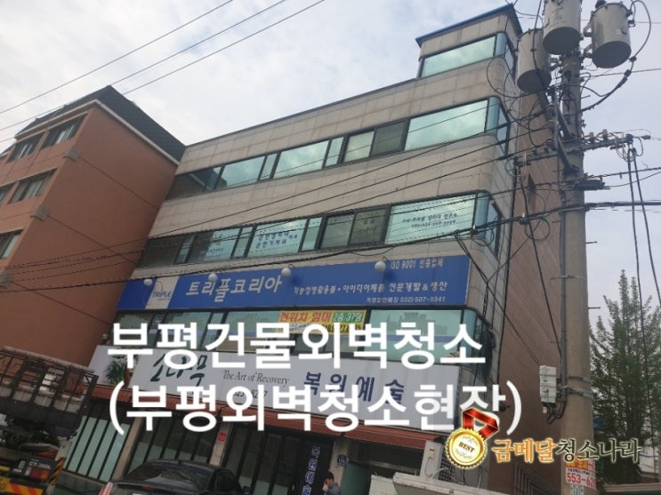  건물외벽청소 (서울.부평.수원.안양.안산.용인.성남.시흥.가평.구리.남양주.양주.포천.전곡.연천.철원.김포.파주.일산.군포.부천.중동.상동.인천.강화.송도.금메달청소나라)