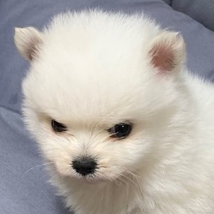  107. 올해 처음으로 평일에 약속없었다