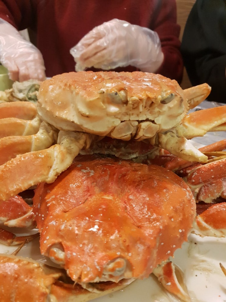  [탄현동 한의원] 라페스타 주문진 대게 뷔페!!
