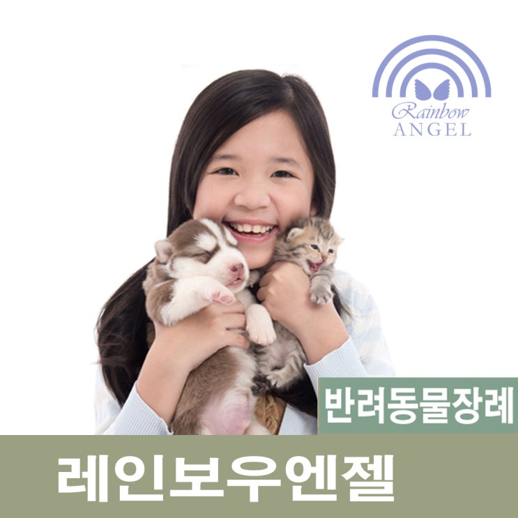 강아지가 죽으면 반려동물장례식장 애견장례식장은 어떻게 선택해야할까요?[레인보우엔젤]