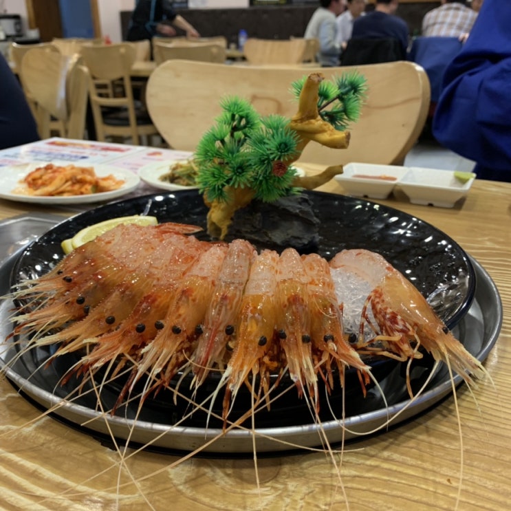  창원 상남동 해물, 조개꽃천지