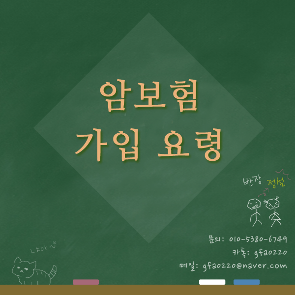  정직한 설계사 정설의 암보험 가입요령