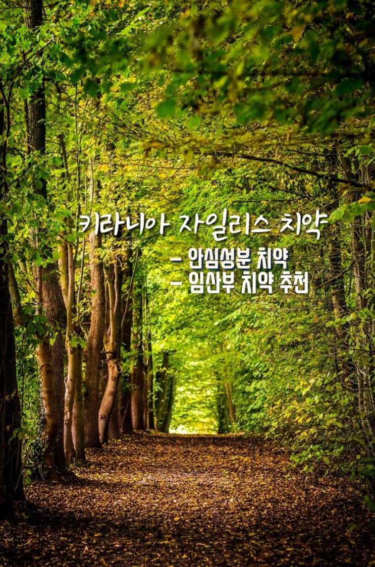  키라니아 자일리스 치약 사용 후기