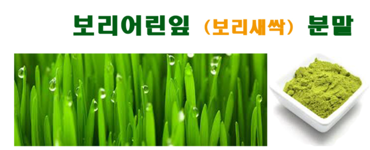  슈퍼푸드 보리새싹 분말가루 건강필수템!!!! 