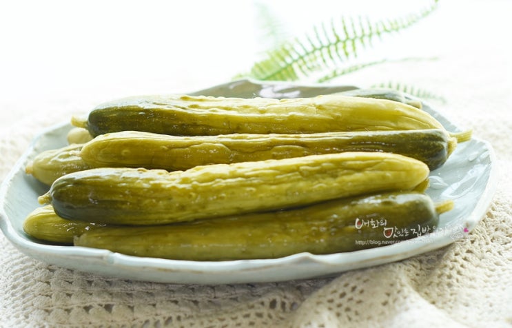  오이지담그는법 맛있는 전통 오이지만드는법 황금레시피