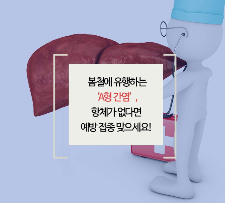  A형간염 예방접종 가격