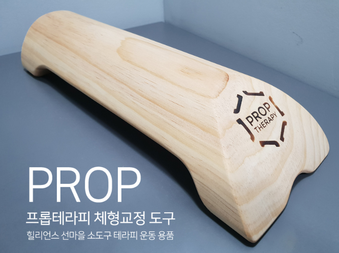  선이몰_힐리언스 선마을 소도구 테라피[프롭]