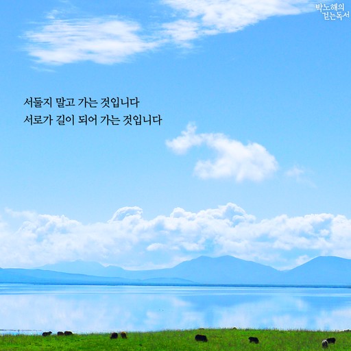  희망은 깨어 있네 / 이해인 수녀