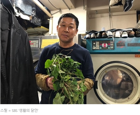 제주자연세탁의달인(하나로친환경맞춤형세탁) 생활의달인 제주자연세탁의달인(하나로친환경맞춤형세탁) 생활의달인