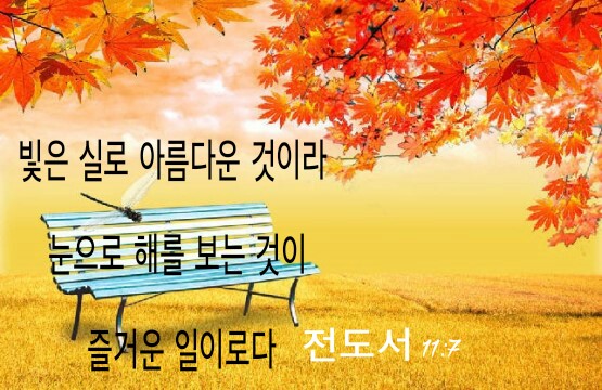  볼테르와  암박사겸  목사 이한영,백지영 정욱 윤덕용