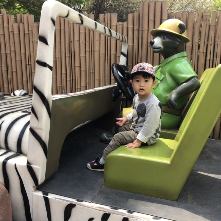 꼬마랑 꼬꼬마랑 어린이대공원 출동 꼬마랑 꼬꼬마랑 어린이대공원 출동