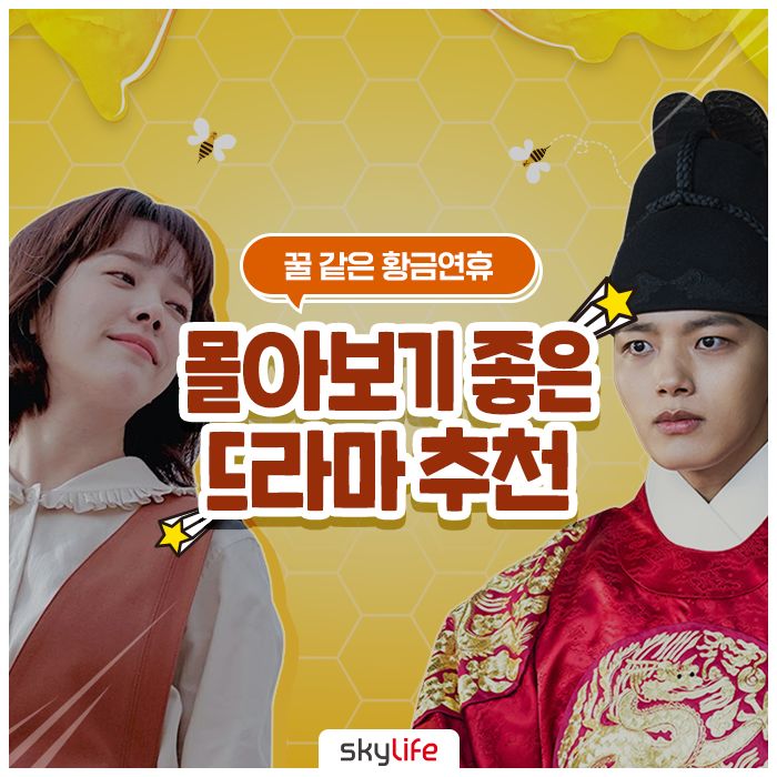  황금연휴 몰아보기 좋은 드라마 :: 눈이 부시게, 왕이 된 남자