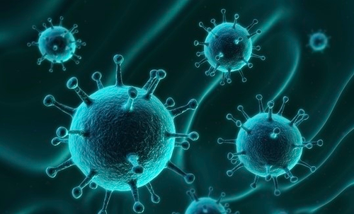 바이러스(Virus) (노로바이러스 / HIV)