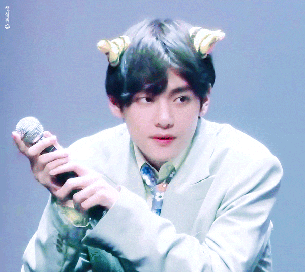  호랑이 태태