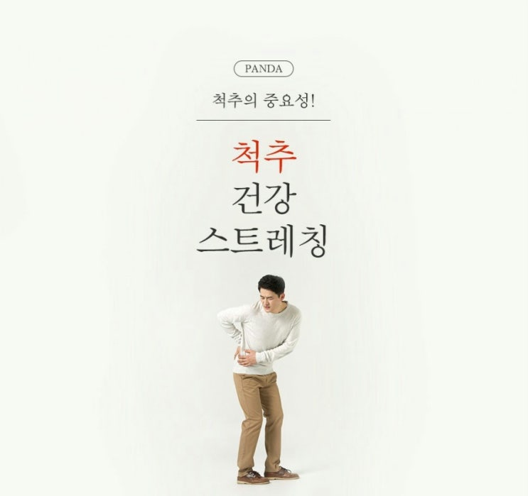  척추 건강 스트레칭